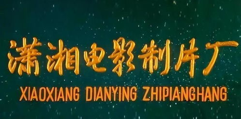 瀟灑名導(dǎo) 張黎,人如其名,五段婚姻都失敗,前任個個大明星
