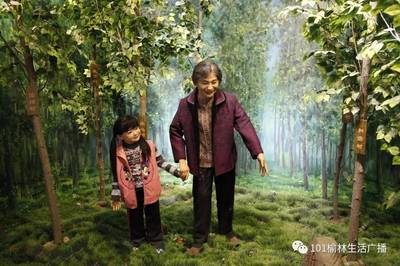首部林業(yè)題材兒童電影《樹娃》全面啟動(dòng)演員選拔暨演員特訓(xùn)營開營儀式